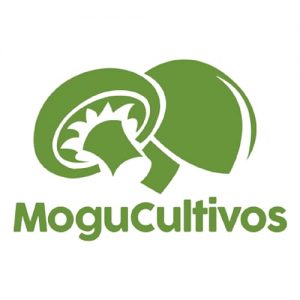 WhatsApp Image 2022-06-28 at 10.59.04 (1)